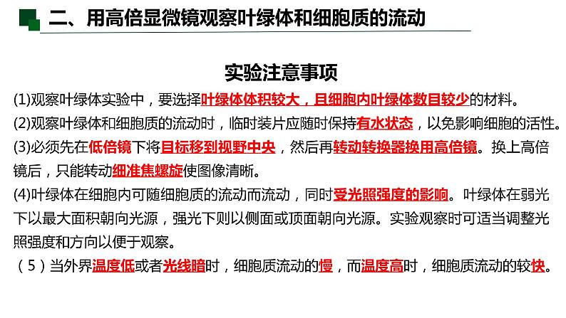 3.2 细胞器之间的分工合作（第二课时）-2022-2023学年高一生物同步备课优质课件（人教版2019必修1）05