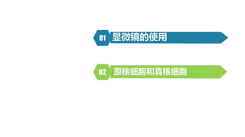 人教版高一生物必修一课件1.2细胞的多样性和统一性02