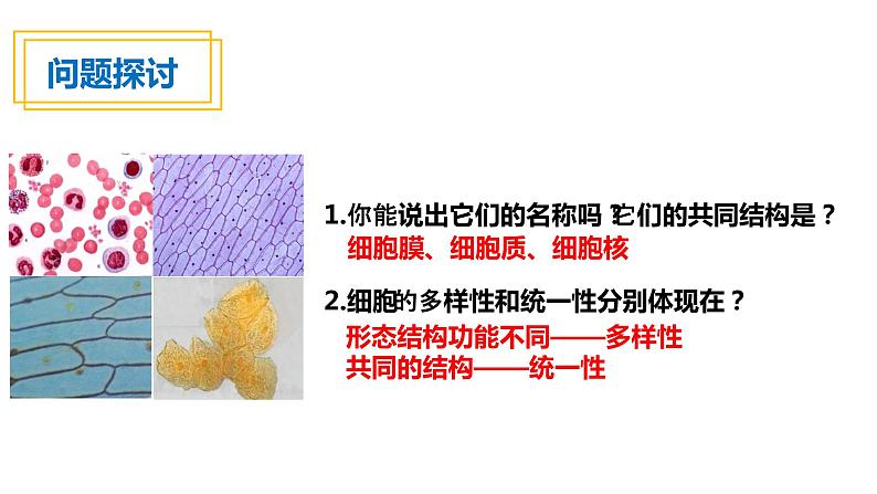 人教版高一生物必修一课件1.2细胞的多样性和统一性03