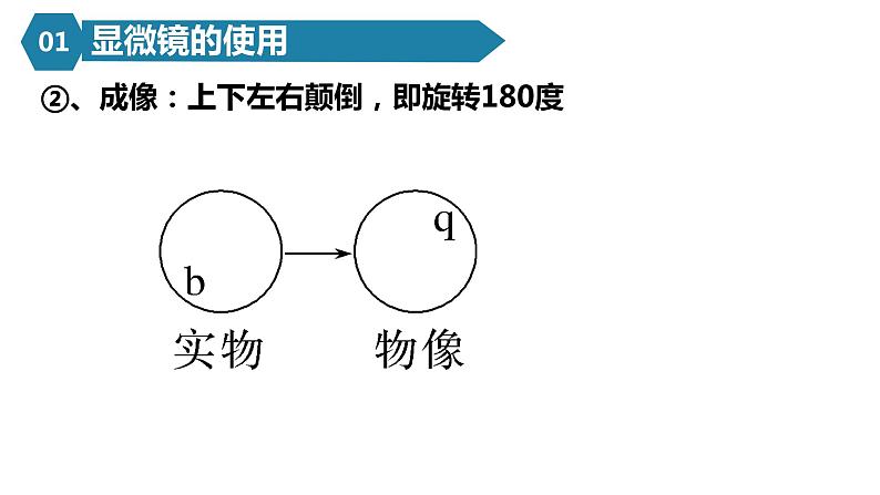 人教版高一生物必修一课件1.2细胞的多样性和统一性05