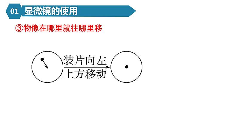 人教版高一生物必修一课件1.2细胞的多样性和统一性06