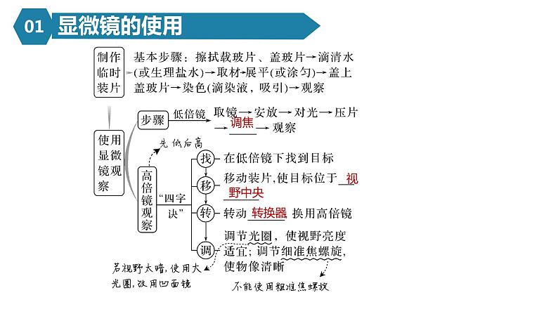 人教版高一生物必修一课件1.2细胞的多样性和统一性07