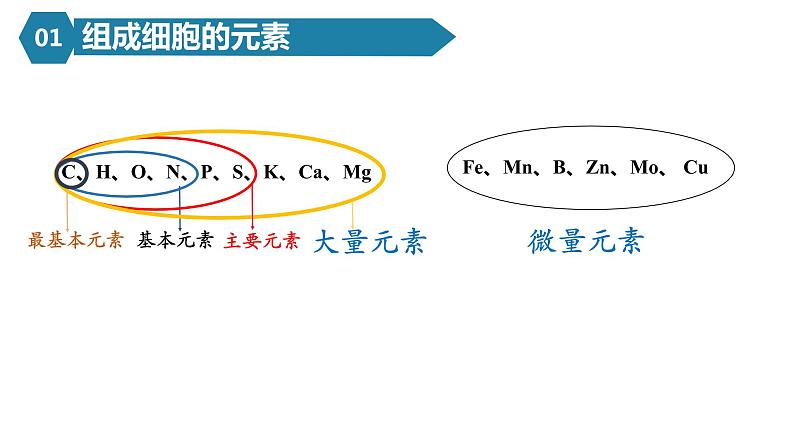 人教版高一生物必修一课件2.1细胞中的元素和化合物05