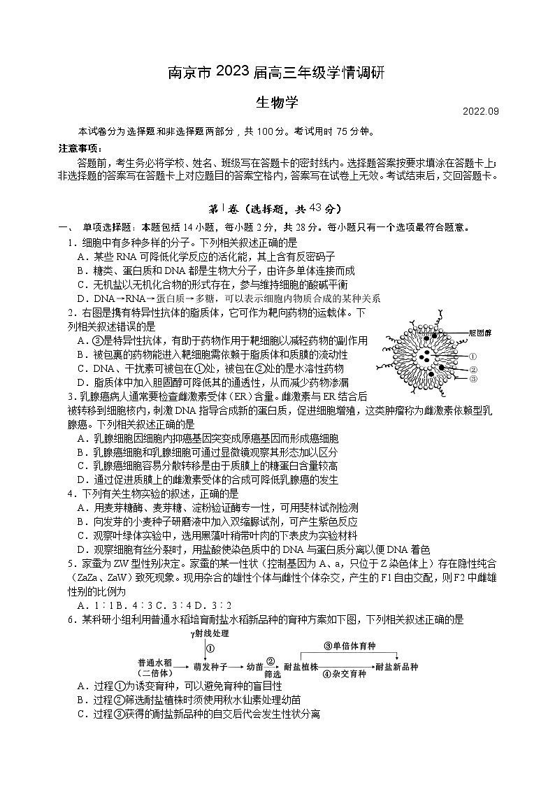 2023南京高三上学期9月学情调研试题生物含答案第1页