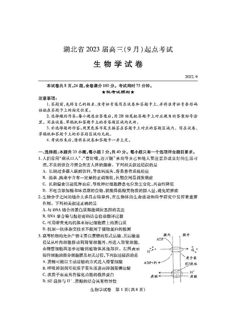 2023湖北省高三上学期9月起点考试生物PDF版含答案01