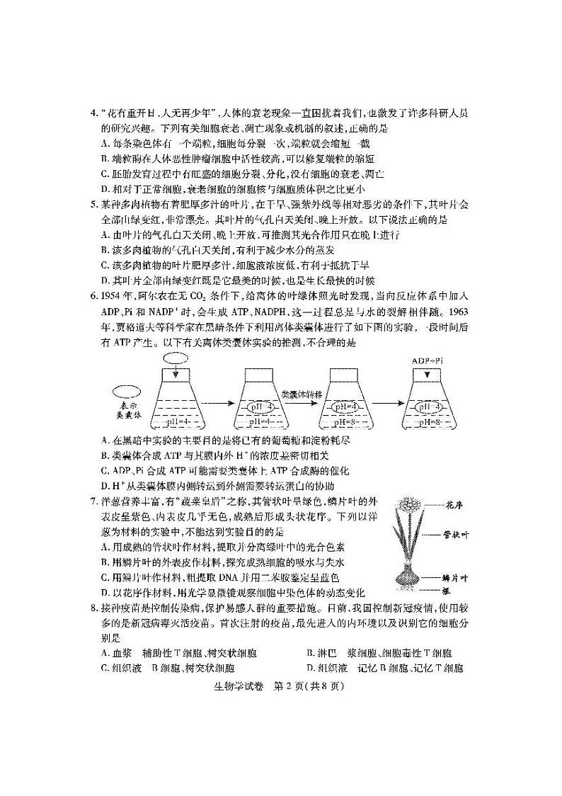 2023湖北省高三上学期9月起点考试生物PDF版含答案02