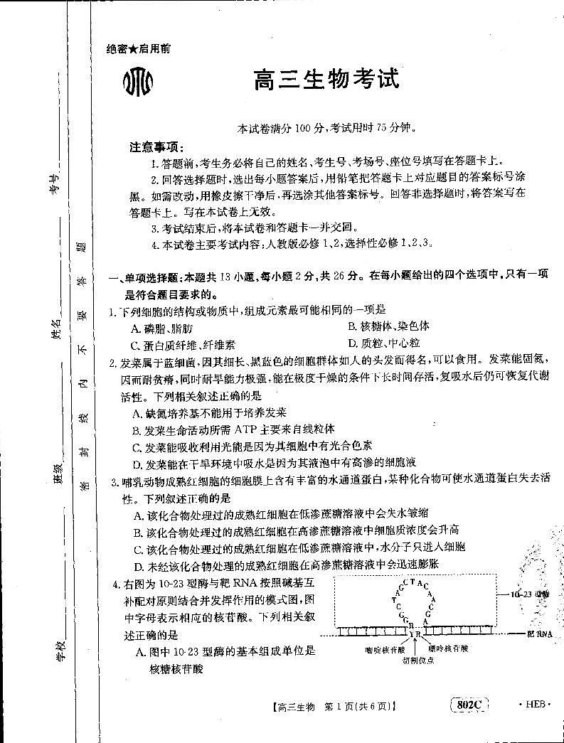2023河北省百万联考高三上学期9月联考试题生物PDF版含解析01