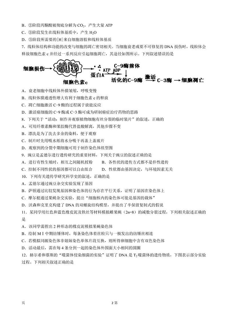 浙江省名校协作体2022-2023学年高三上学期开学考试-生物试题第2页