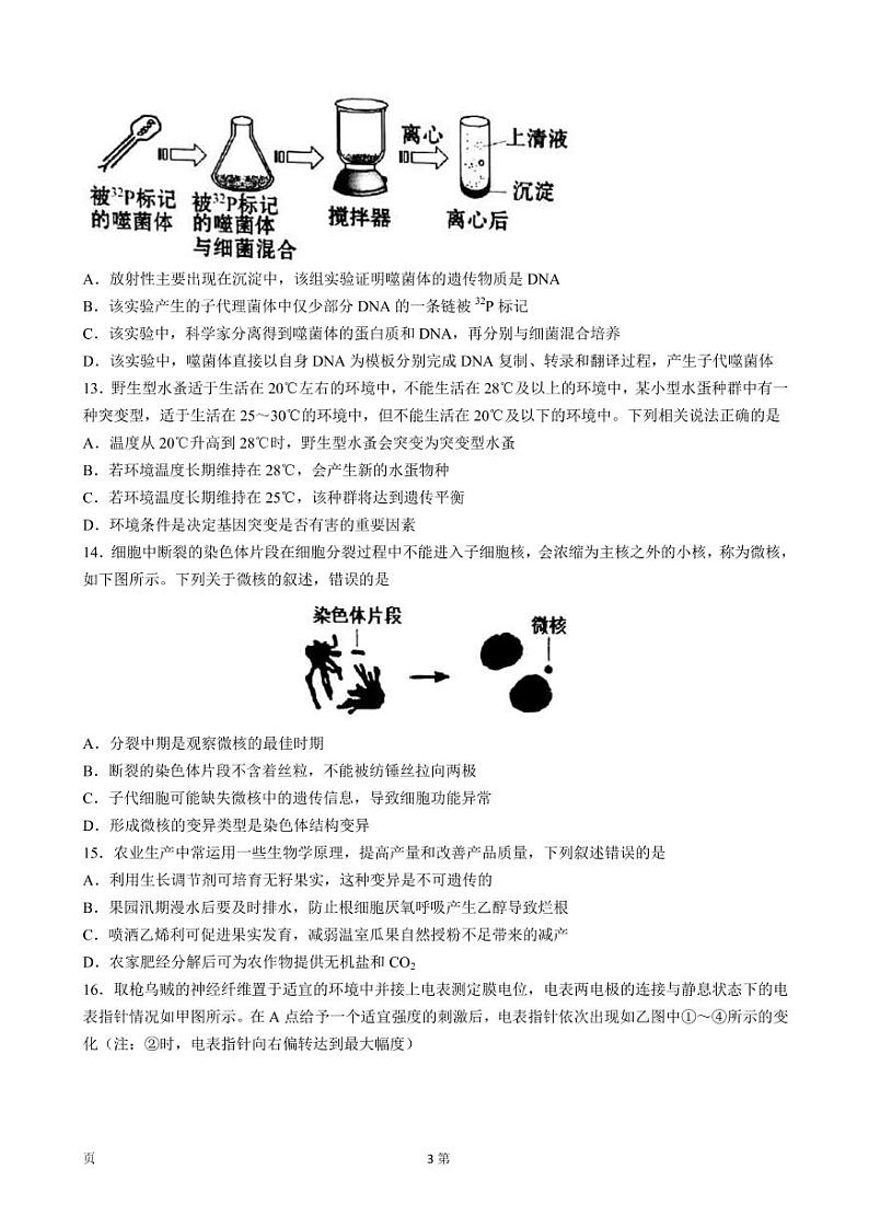 浙江省名校协作体2022-2023学年高三上学期开学考试-生物试题第3页