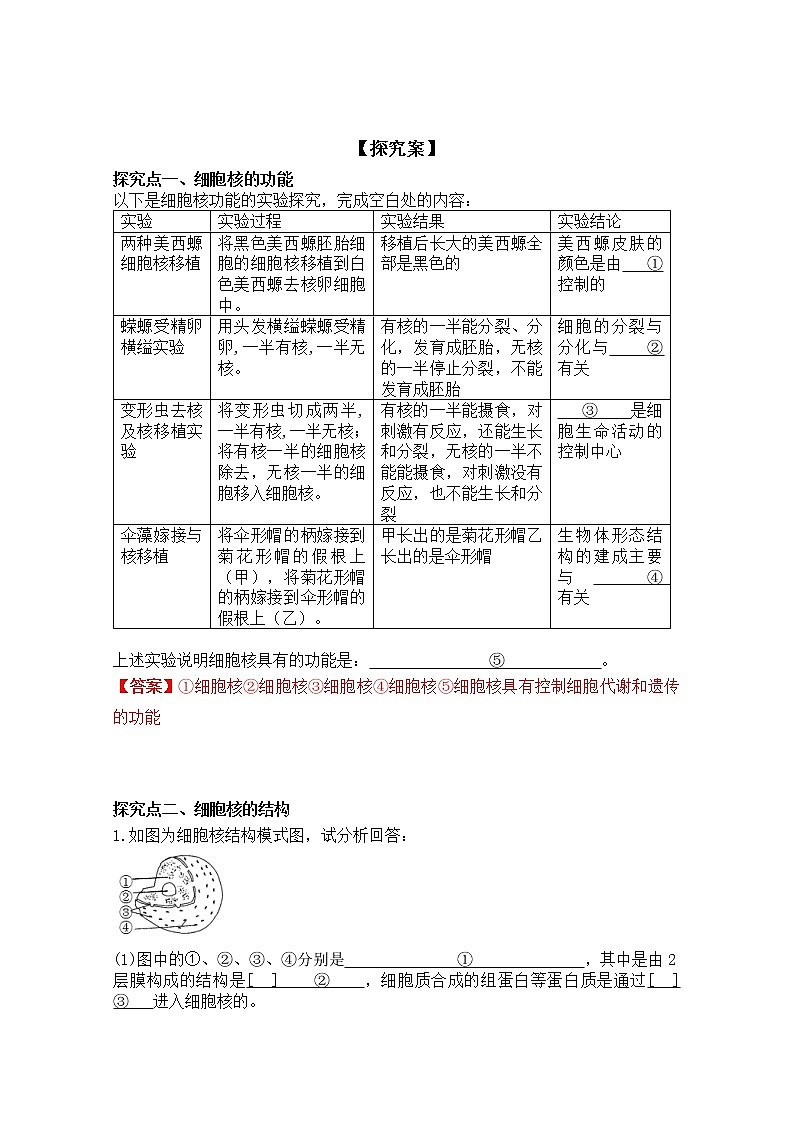 高中生物人教版必修一3.3细胞核的结构和功能学案第2页