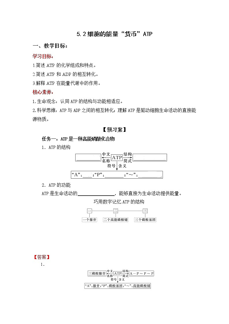 高中生物人教版必修一5.2细胞的能量“货币”ATP学案01