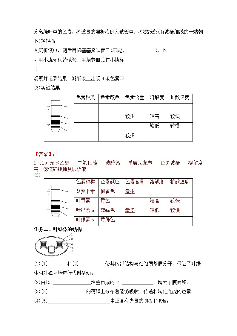 高中生物人教版必修一5.4.1捕获光能的色素和结构学案第2页