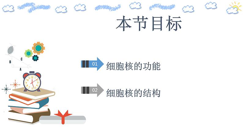 3.3细胞核的结构和功能课件02