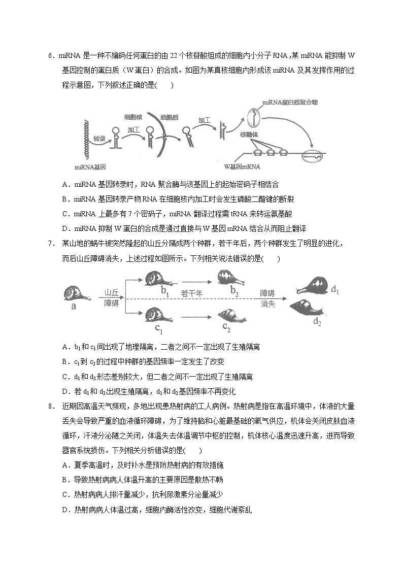 广东省汕头市金山中学2022-2023学年高三上学期摸底考试生物试题（含答案）02