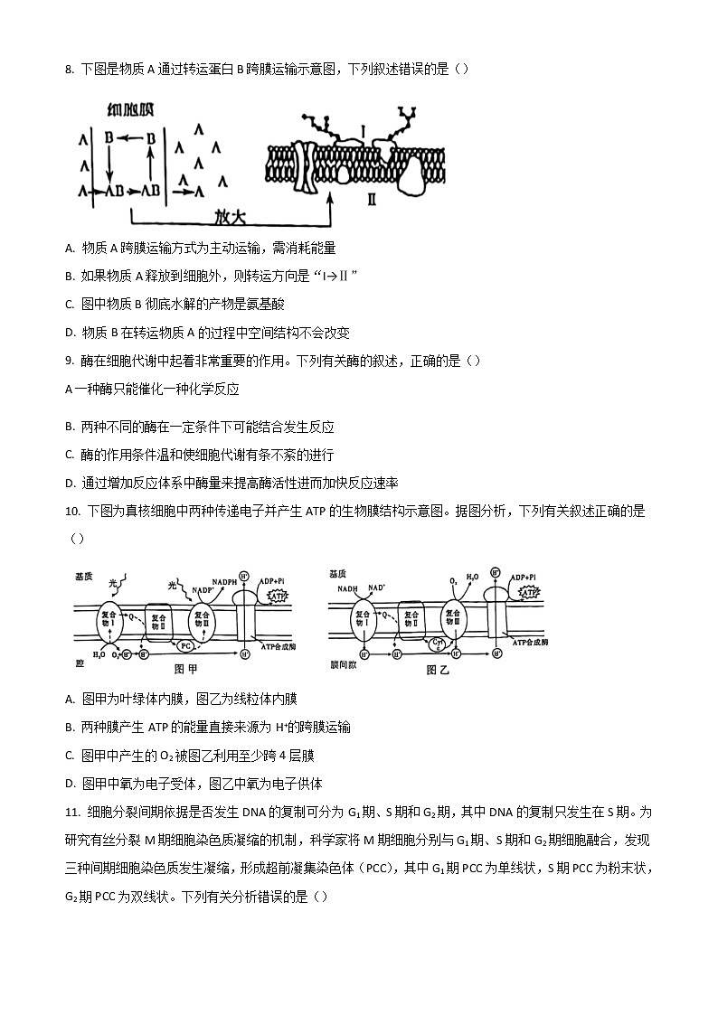2023重庆市高三上学期9月第一次质量检测生物试题含答案第3页
