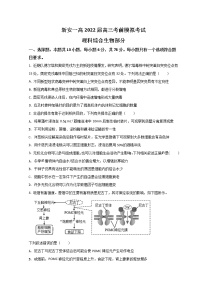 2022洛阳新安县一中高三下学期考前热身练（三）生物试题含答案