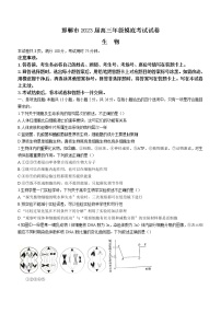 2023邯郸高三上学期摸底考试生物含解析