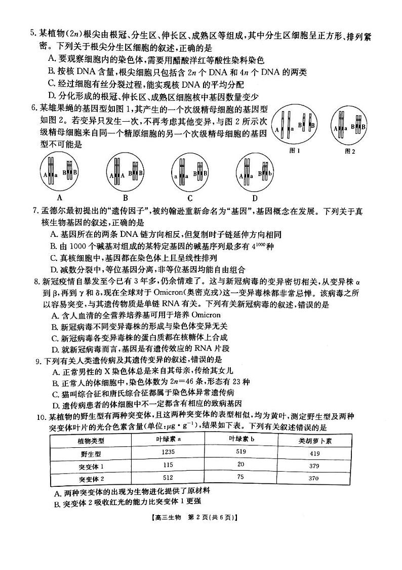 2023届辽宁省朝阳市建平县高三上学期9月月考生物试卷（PDF版）第2页