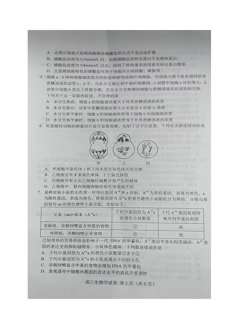 2023唐山高三上学期摸底考试生物图片版无答案第2页
