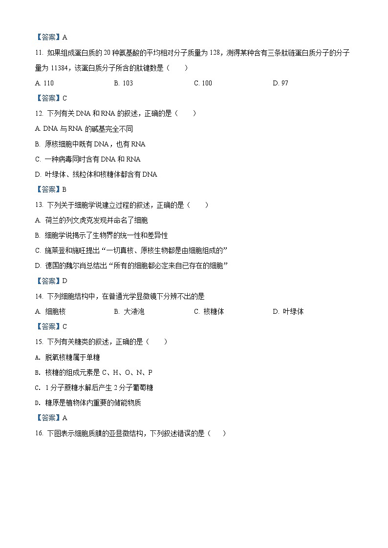 2022嘉兴五中高一10月份月考生物试题含答案第3页