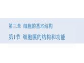 人教版高中生物高一必修一分子与细胞课件3.1细胞膜的结构和功能课件