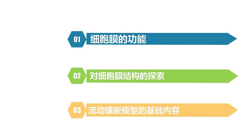 人教版高中生物高一必修一分子与细胞课件3.1细胞膜的结构和功能课件02