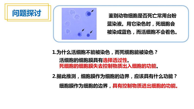 人教版高中生物高一必修一分子与细胞课件3.1细胞膜的结构和功能课件03