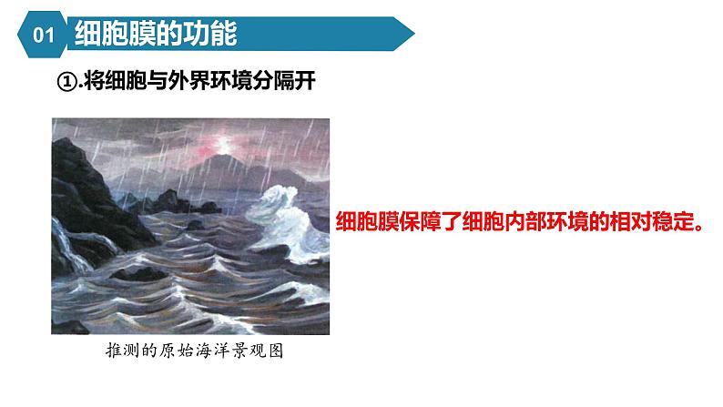 人教版高中生物高一必修一分子与细胞课件3.1细胞膜的结构和功能课件05