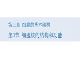 人教版高中生物高一必修一分子与细胞课件3.3细胞核的结构和功能