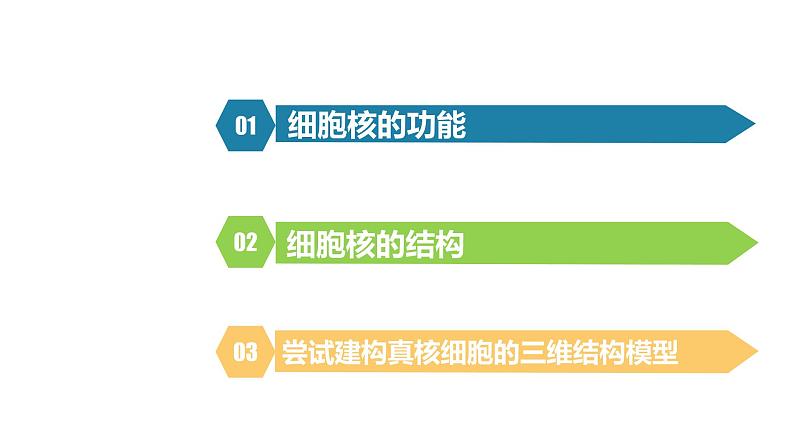 人教版高中生物高一必修一分子与细胞课件3.3细胞核的结构和功能第2页