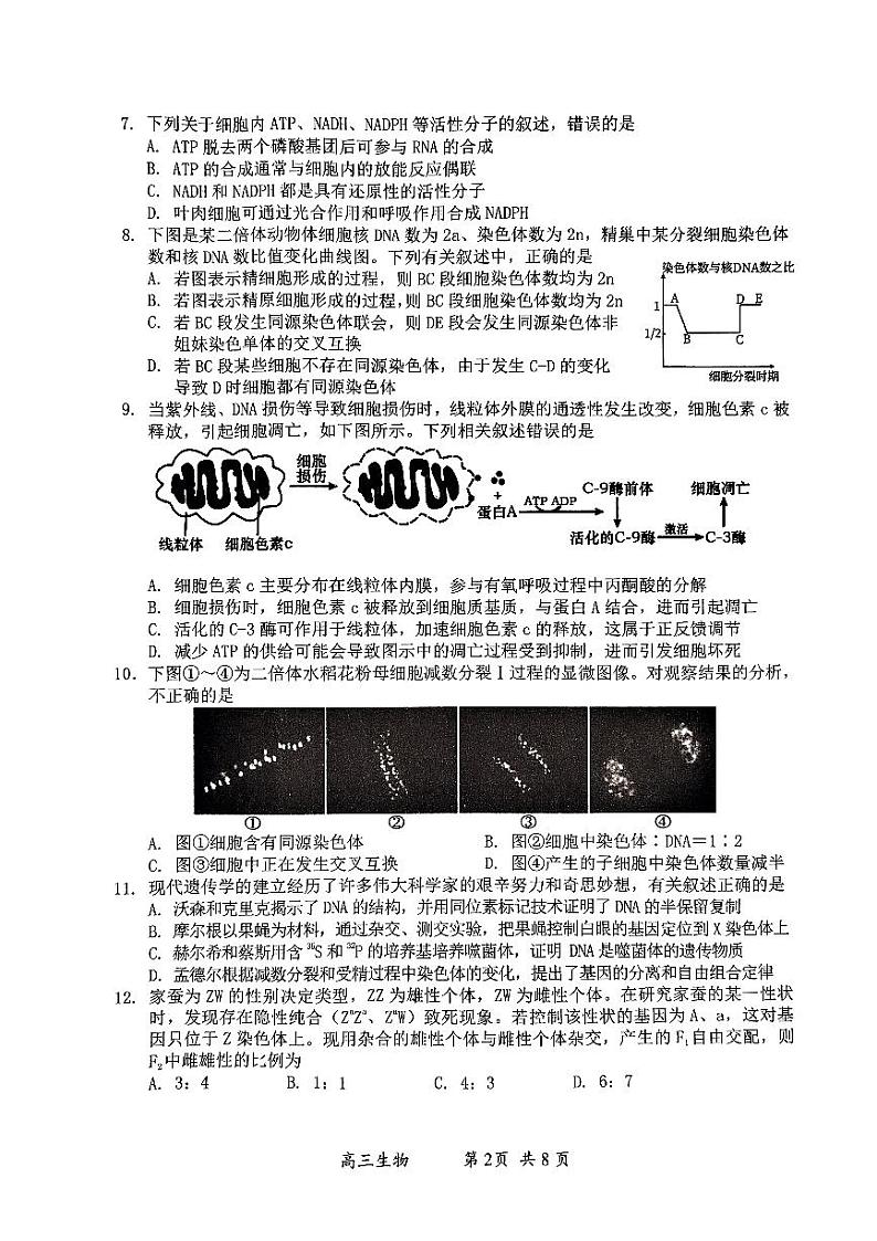 江苏省南通市2022-2023学年高三上学期第一次质量监测生物试题无答案02