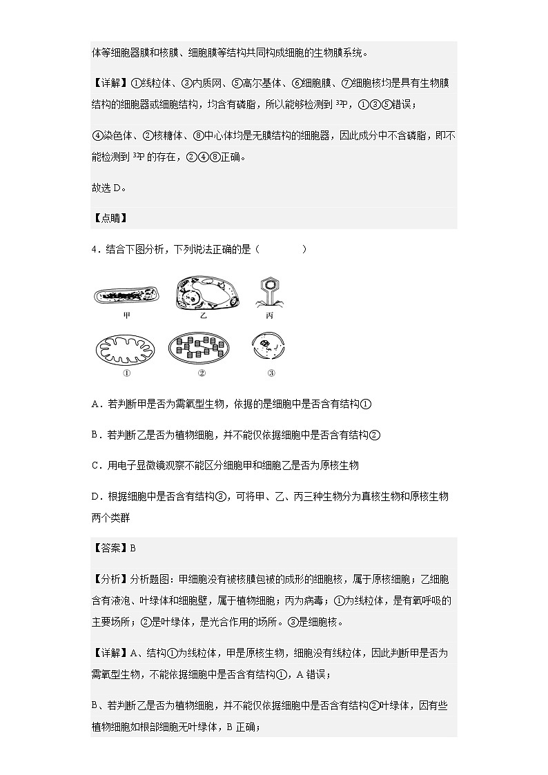 天津市咸水沽一中2022-2023学年高三上学期开学测试生物试题含解析03