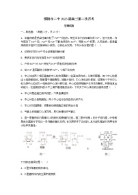 2023届湖南省邵阳市第二中学高三（上）第二次月考生物试题含答案