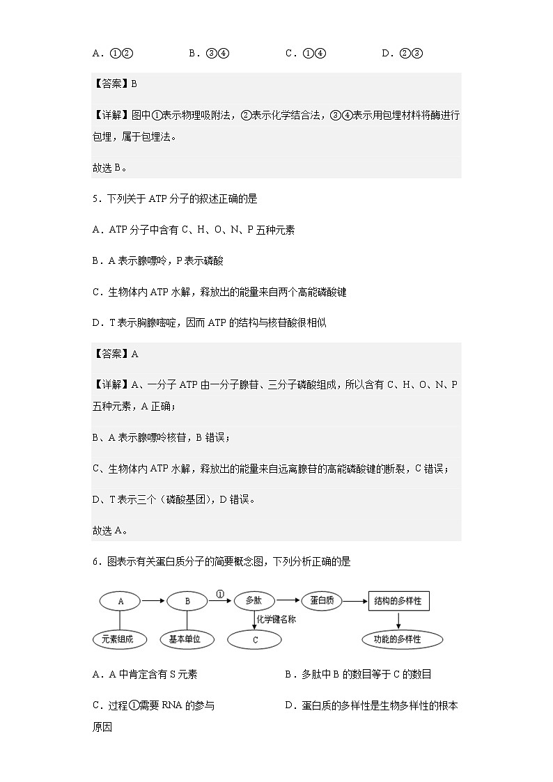 上海市松江区松江二中2019-2020学年高二上学期期末生物试题含解析03
