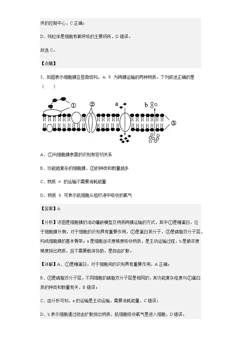 天津市南开区津英中学2020-2021学年高二下学期期中生物试题含解析第3页