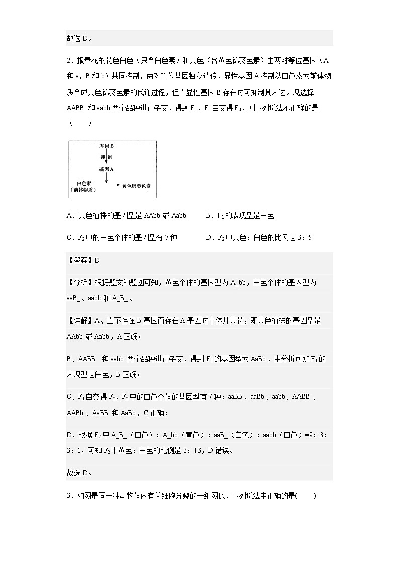 河北省石家庄市藁城区一中2021-2022学年高一5月月考生物试题含解析第2页