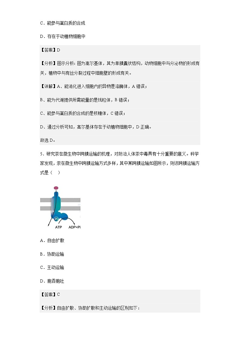 上海市浦东新区上海市进才中学2019-2020学年高一上学期期末生物试题含解析03