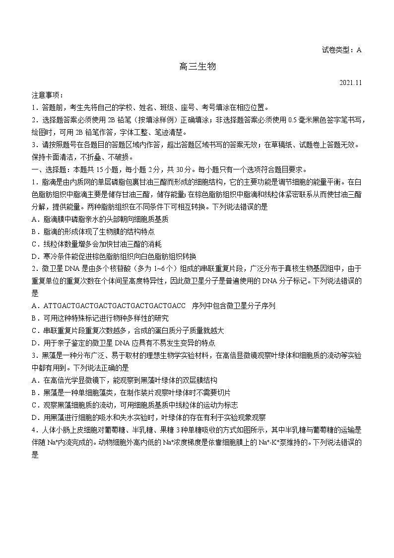 2022威海乳山高三上学期期中生物试题含答案01