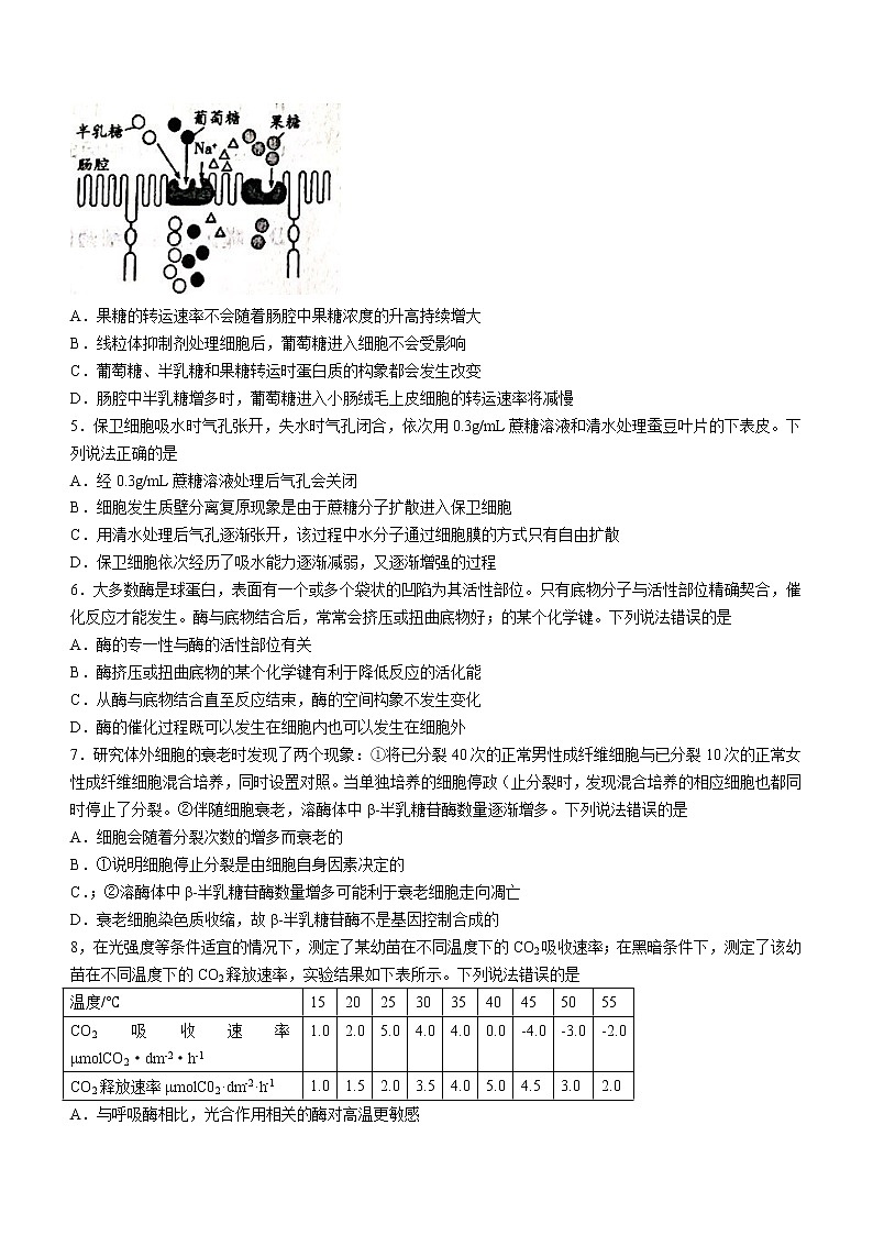 2022威海乳山高三上学期期中生物试题含答案02