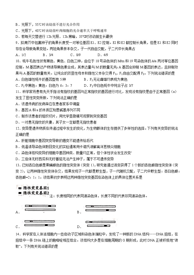 2022威海乳山高三上学期期中生物试题含答案03