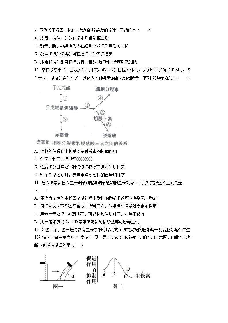 2022东营一中高二上学期期中考试生物试题含解析03