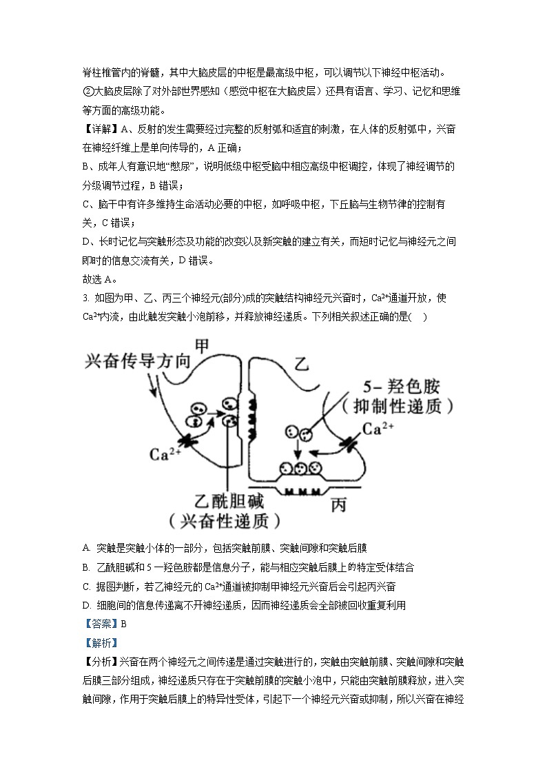 2022东营一中高二上学期期中考试生物试题含解析02