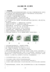 2023届江苏省南通市高三上学期第一次质量监测-生物（PDF版）