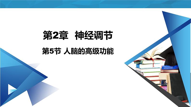 2.5人脑的高级功能课件2022-2023学年高二上学期生物人教版选择性必修1第1页