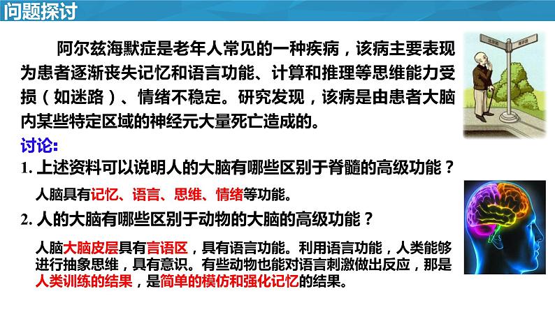 2.5人脑的高级功能课件2022-2023学年高二上学期生物人教版选择性必修1第2页