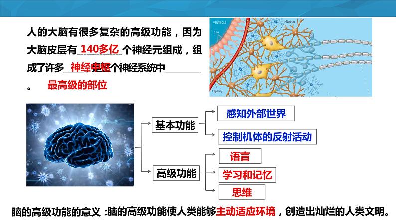 2.5人脑的高级功能课件2022-2023学年高二上学期生物人教版选择性必修1第3页