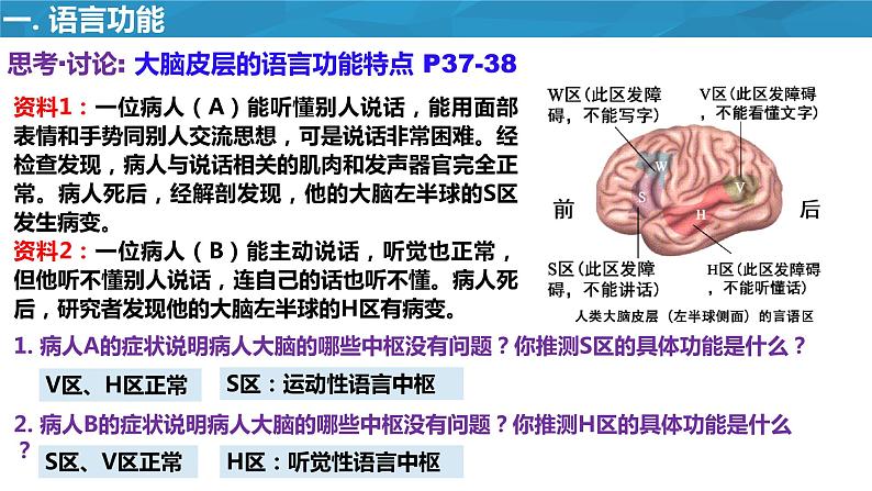 2.5人脑的高级功能课件2022-2023学年高二上学期生物人教版选择性必修1第5页