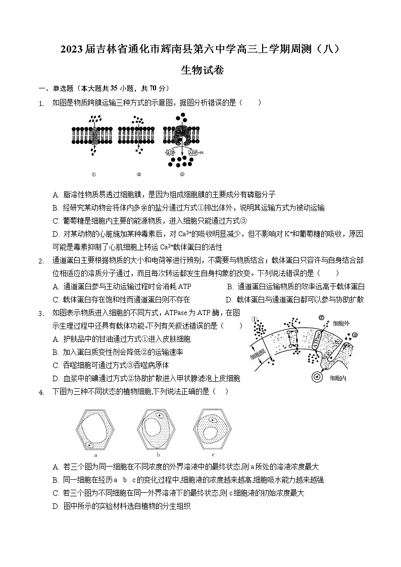 2023届吉林省通化市辉南县第六中学高三上学期周测（八）生物试卷含答案第1页