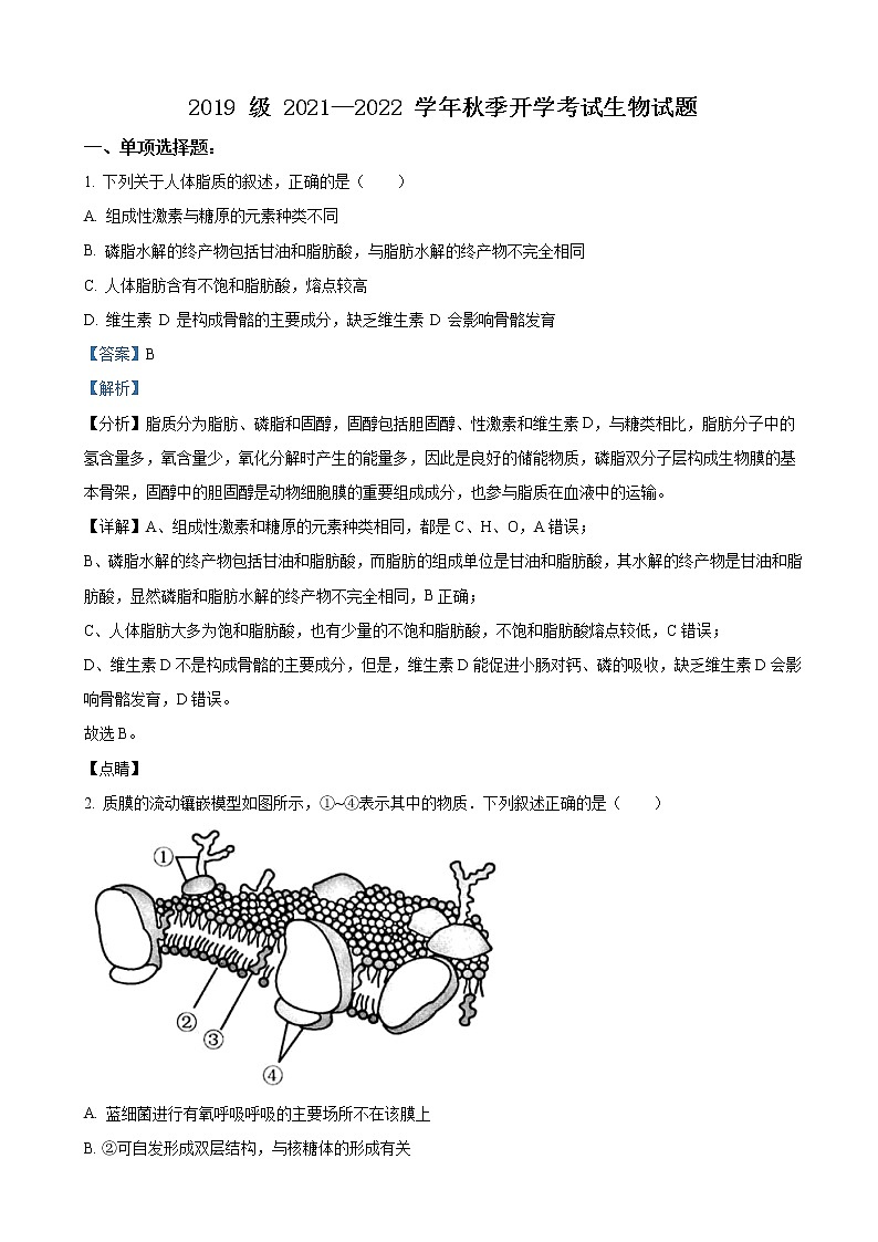 2021-2022学年山东省济南市山师大附中高三上学期开学考试生物试题（解析版）01