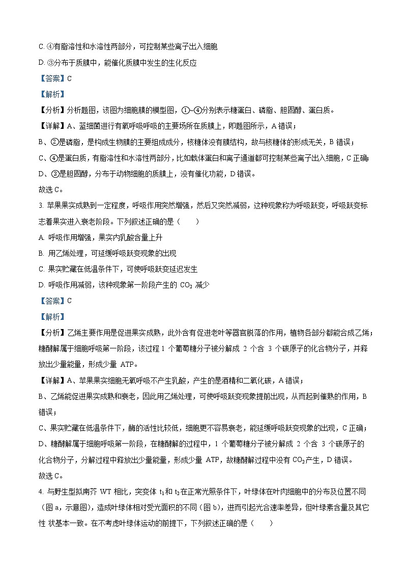 2021-2022学年山东省济南市山师大附中高三上学期开学考试生物试题（解析版）02